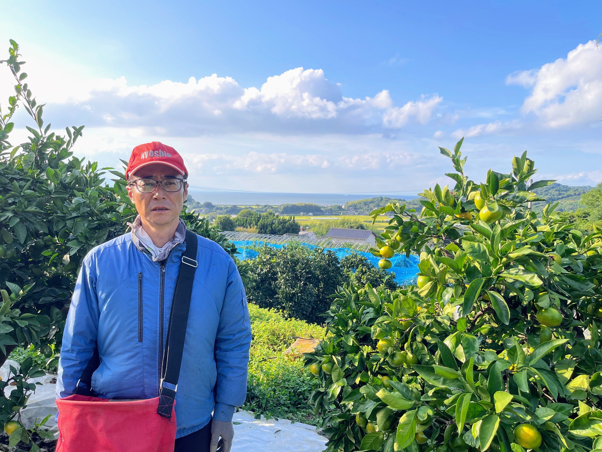 【宇土市網田町】福の内農園　堀内勇一さんのみかん