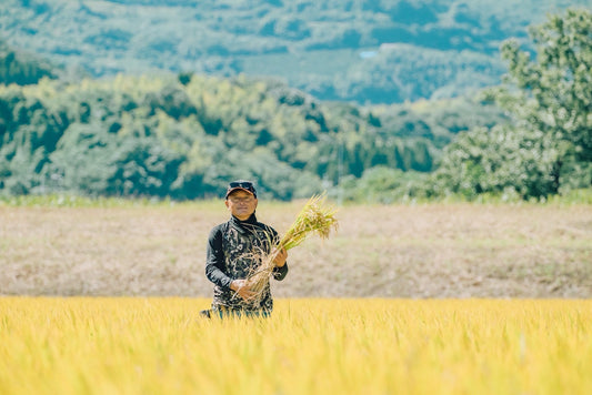【宇土市走潟町】齊藤農園　齊藤栄一郎さんのお米