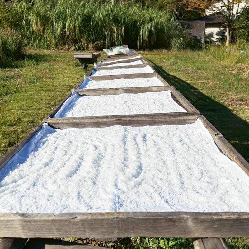 熊本 天草 茂串の海水100% 天日干し塩